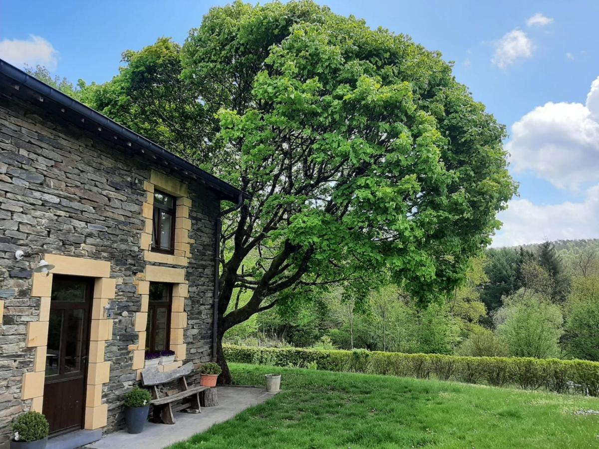 La Maison Des Marguerites Vresse-sur-Semois Dış mekan fotoğraf
