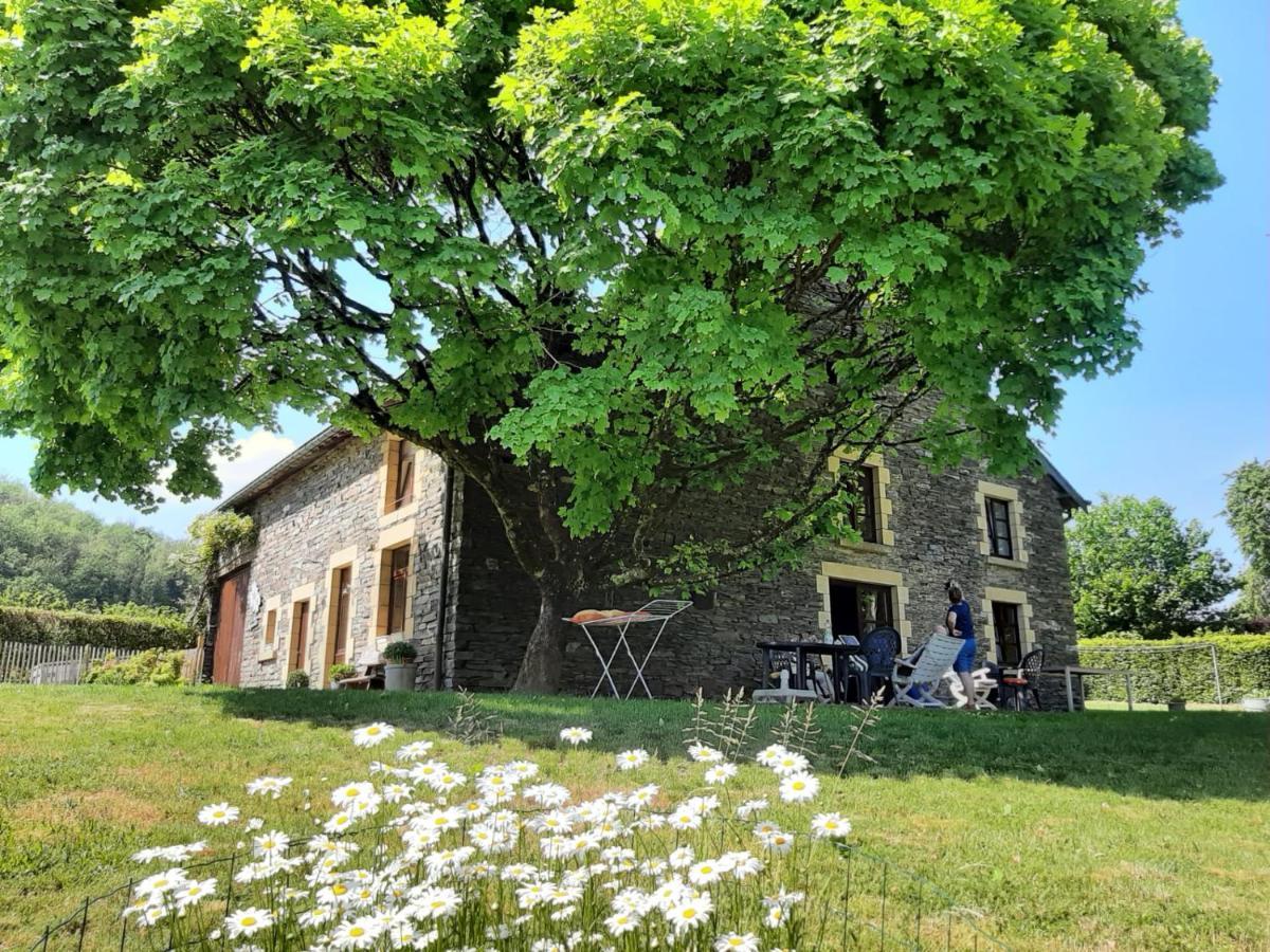 La Maison Des Marguerites Vresse-sur-Semois Dış mekan fotoğraf