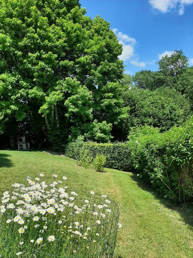La Maison Des Marguerites Vresse-sur-Semois Dış mekan fotoğraf