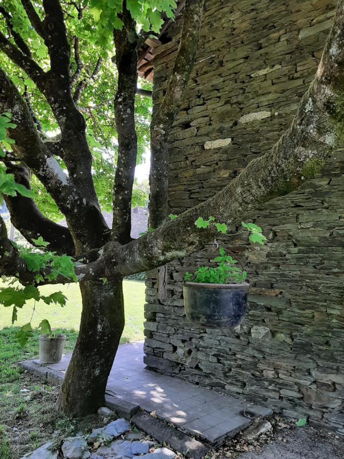 La Maison Des Marguerites Vresse-sur-Semois Dış mekan fotoğraf
