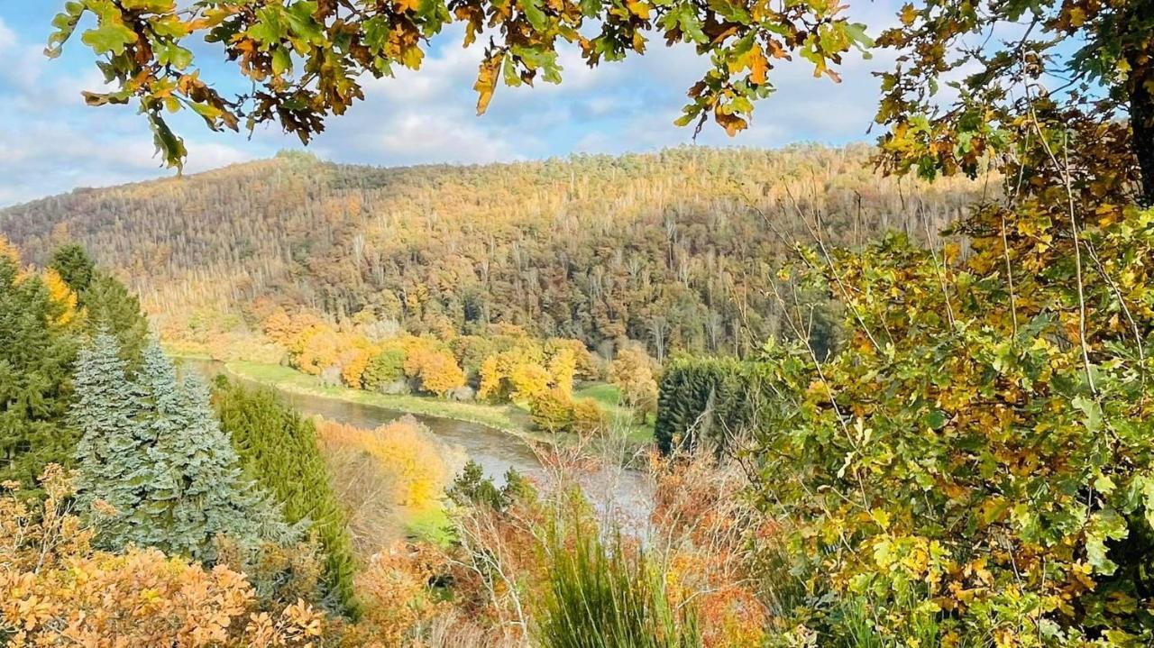 La Maison Des Marguerites Vresse-sur-Semois Dış mekan fotoğraf