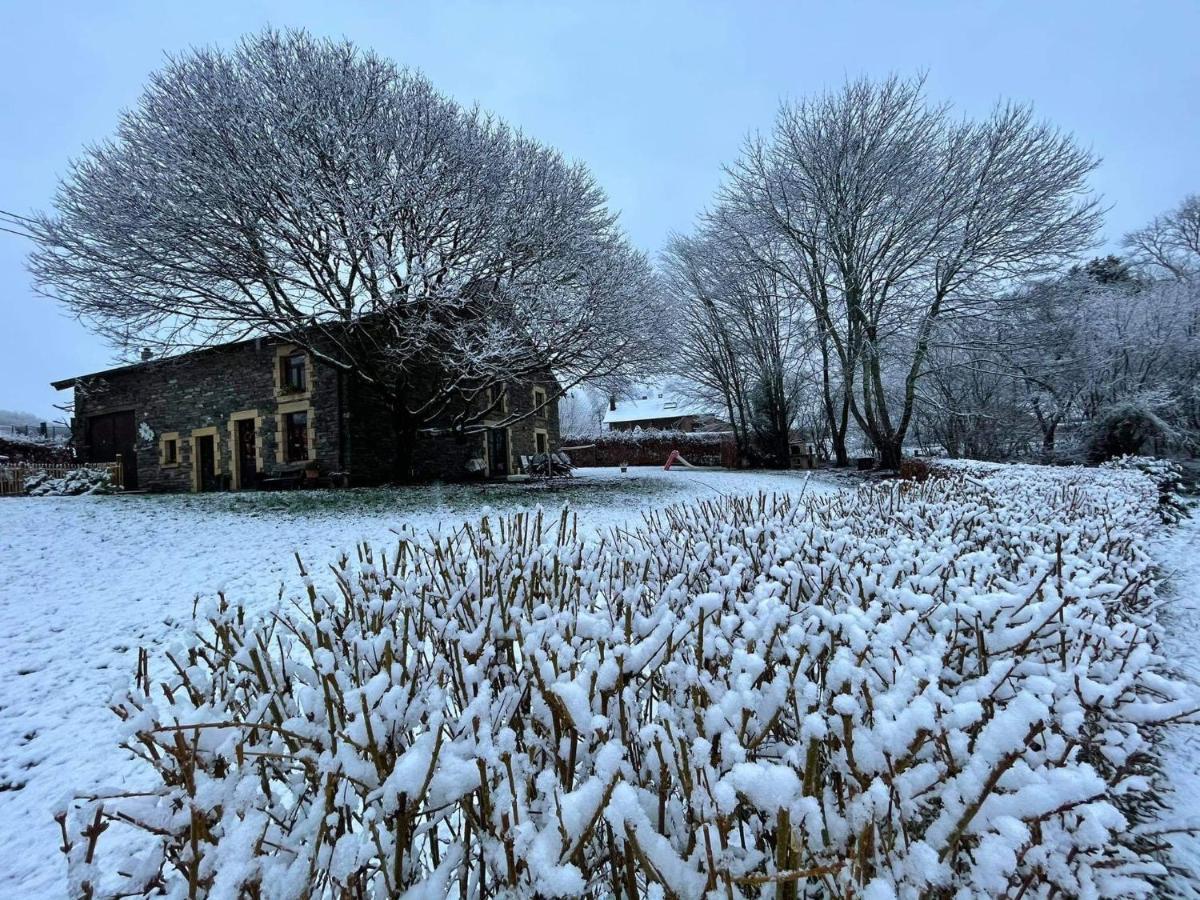 La Maison Des Marguerites Vresse-sur-Semois Dış mekan fotoğraf
