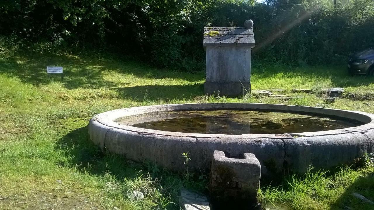 La Maison Des Marguerites Vresse-sur-Semois Dış mekan fotoğraf
