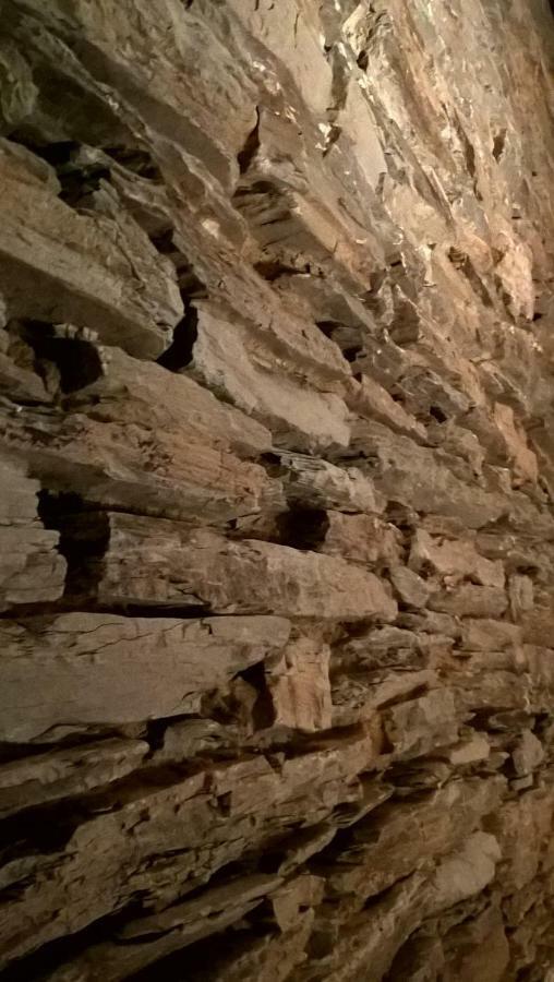 La Maison Des Marguerites Vresse-sur-Semois Dış mekan fotoğraf